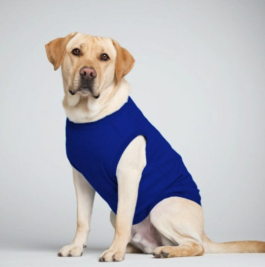 Dog T-Shirts – Stylish Comfort for Your Furry Friend