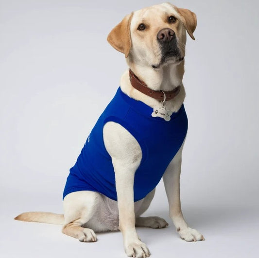 Dog T-Shirts – Stylish Comfort for Your Furry Friend